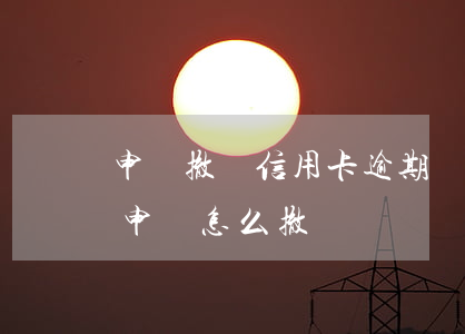 申請撤銷信用卡逾期記錄說明(提交了信用卡申請怎么撤銷)