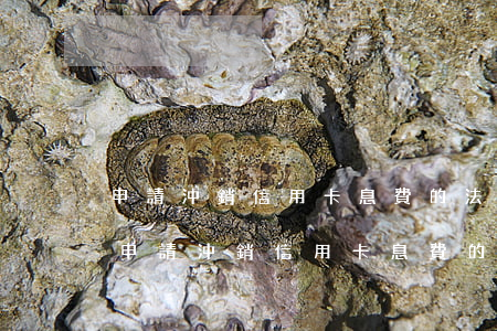 申請沖銷信用卡息費的法律依據(jù)-申請沖銷信用卡息費的法律依據(jù)是什么