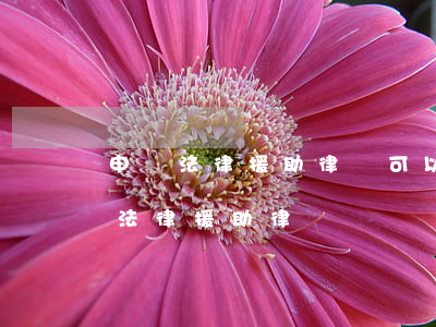 申請法律援助律師可以賺錢嗎(如何申請成為法律援助律師)