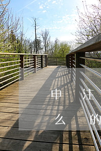 申請注冊商標(biāo)的方式流程是怎么樣的