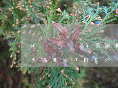 申請發(fā)票逾期抵扣說明(發(fā)票逾期未抵扣怎么辦)