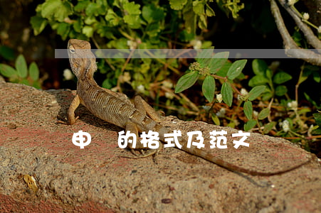 申請的格式及范文