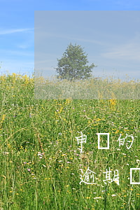 申請的網(wǎng)貸沒下款說逾期(沒有逾期為什么網(wǎng)貸審核沒有一個(gè)通過)
