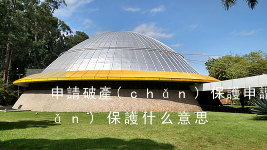 申請破產(chǎn)保護(申請破產(chǎn)保護什么意思)