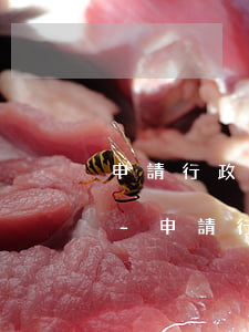 申請行政強制執(zhí)行逾期重新作出-申請行政強制執(zhí)行逾期重新作出決定