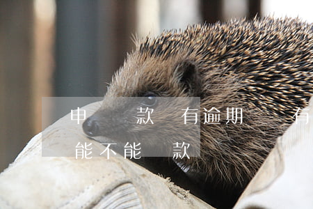 申請貸款說有逾期記錄(有一次貸款逾期記錄能不能貸款)