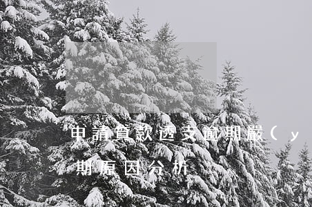 申請貸款透支逾期嚴(yán)重性(貸款逾期原因分析)