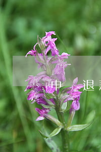 申請退款后如何退貨，申請退款后怎么退貨