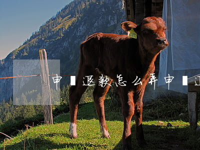 申請退款怎么弄(申請退款怎么弄)