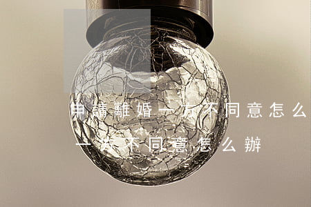 申請離婚一方不同意怎么辦(一方提出離婚另一方不同意怎么辦)