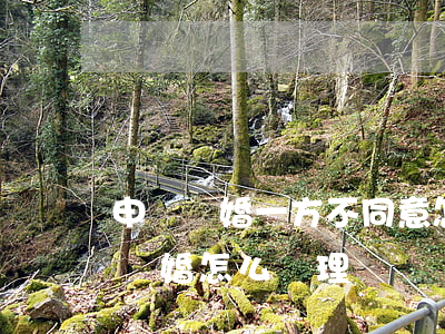 申請離婚一方不同意怎么辦(如果一方不同意離婚 怎么處理)