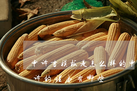 申诉书模板是怎么样的,申诉的理由有哪些（申诉的理由有哪些）