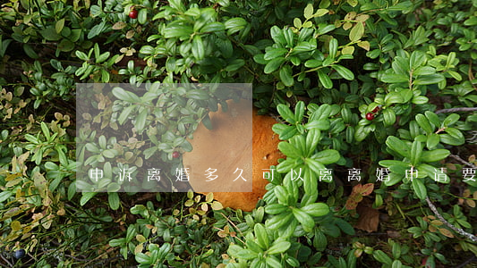 申诉离婚多久可以离(离婚申请要多久)