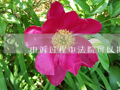 申诉过程中法院可以拘留债务人吗