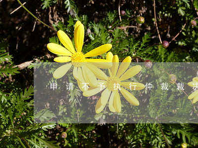 申请不予执行仲裁裁决的时间