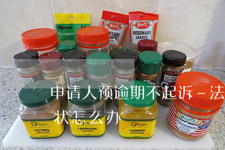 申请人预逾期不起诉-法院迟迟不受理起诉状怎么办