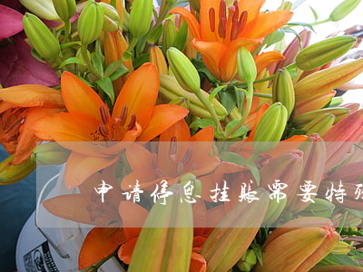 申请停息挂账需要特殊原因(什么叫挂账停息)