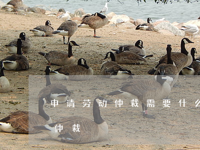 申请劳动仲裁需要什么条件(要怎么申请劳动仲裁)
