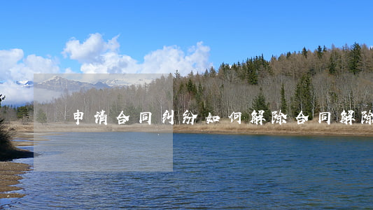 申请合同纠纷如何解除(合同解除申请书)