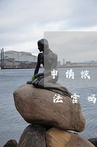 申请恢复执行换法官吗(执行案件可以换执行法官吗)