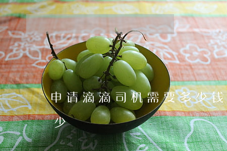 申请滴滴司机需要多少钱(滴滴打车司机拿多少)