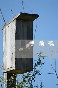 申请破产属于公司解散吗