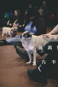 申请离婚一方不同意怎么办(一方提出离婚另一方不同意怎么办)