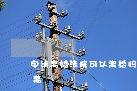 申请离婚法院可以离婚吗(法院申请离婚怎么离)