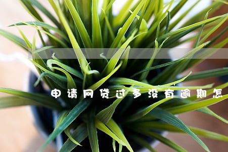 申请网贷过多没有逾期怎么办