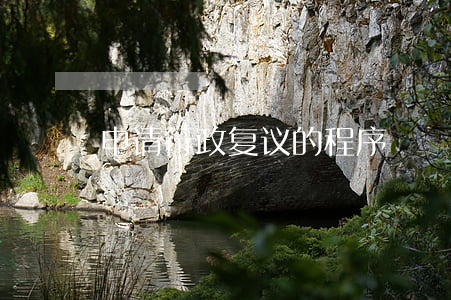 申请行政复议的程序