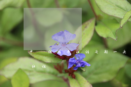 申辦信用卡征信逾期一次(信用卡逾期幾次上征信)