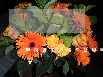 申辯書范本(論文答辯申請(qǐng)書范文)