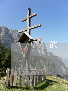 申長武離婚了嗎