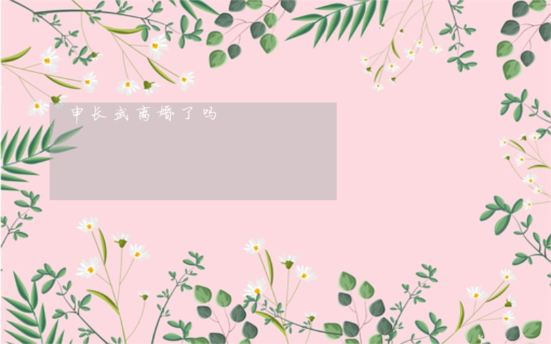 申长武离婚了吗
