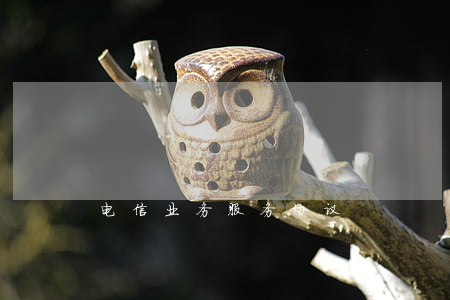 电信业务服务协议