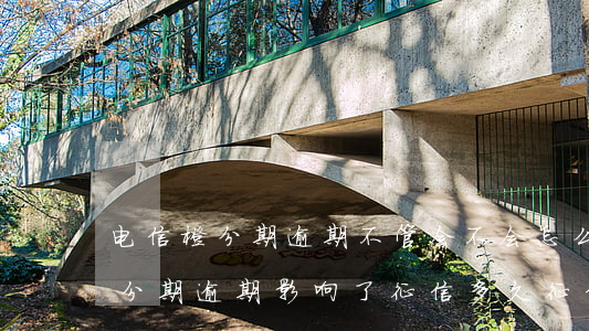 电信橙分期逾期不管会不会怎么样-电信橙分期逾期影响了征信多久征信才能正常