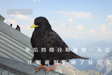 电信的橙分期逾期一天会上征信不-电信橙分期逾期影响了征信多久征信才能正常