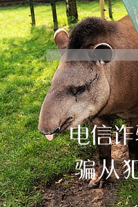 电信诈骗不知情的情况下可以免责吗(电信诈骗从犯不知情)