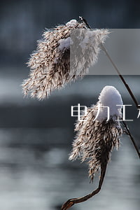 电力工程设备招标程序及招标文件第Ⅲ部分