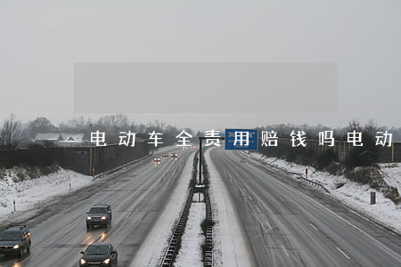 电动车全责用赔钱吗(电动车全责怎么赔)