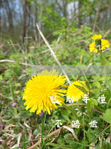 电动车撞人拒不赔偿怎么办(电车撞人全责拒不赔偿)