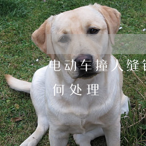 电动车撞人缝针赔多少(车撞电动车人缝针如何处理)