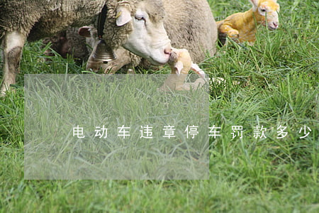 电动车违章停车罚款多少(电动车违章交罚款)