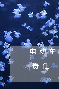 电动车 闯红灯(电动车闯红灯撞了机动车谁的责任)