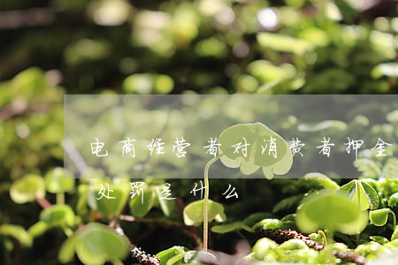 电商经营者对消费者押金退还方式不合理的处罚是什么