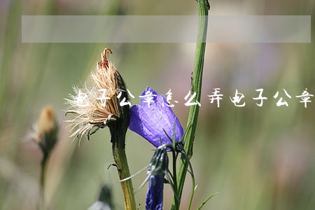 电子公章怎么弄(电子公章如何申请)