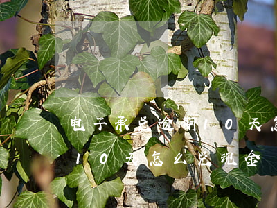 电子承兑逾期10天怎么兑现(电子承兑逾期10天怎么兑现金)