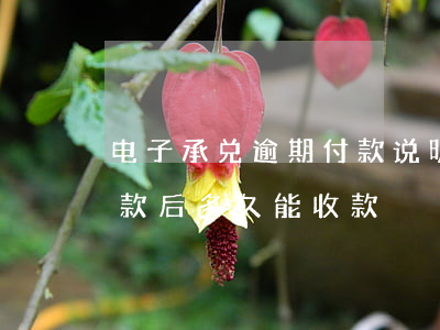 电子承兑逾期付款说明(电子承兑逾期提示付款后多久能收款)
