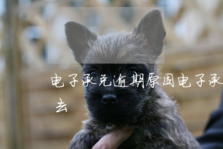 电子承兑逾期原因 电子承兑逾期原因写不进去