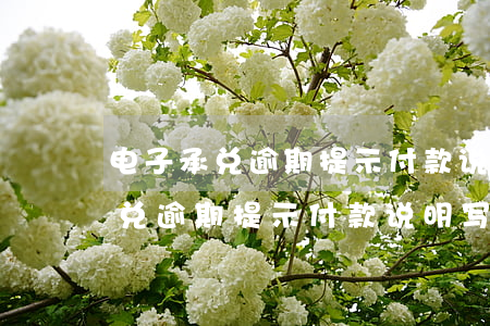 电子承兑逾期提示付款说明写什么-电子承兑逾期提示付款说明写什么内容